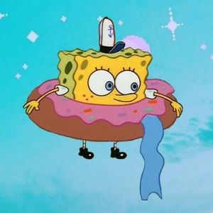 Meet your Posher, Ansley